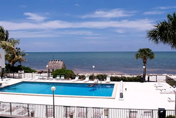 Royal Plum Club View